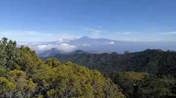 Garajonay Garajonay