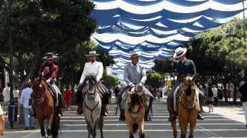 Paseos de enganches y caballos recorren el Cortijo de Torres de la Feria de M&aacute;laga