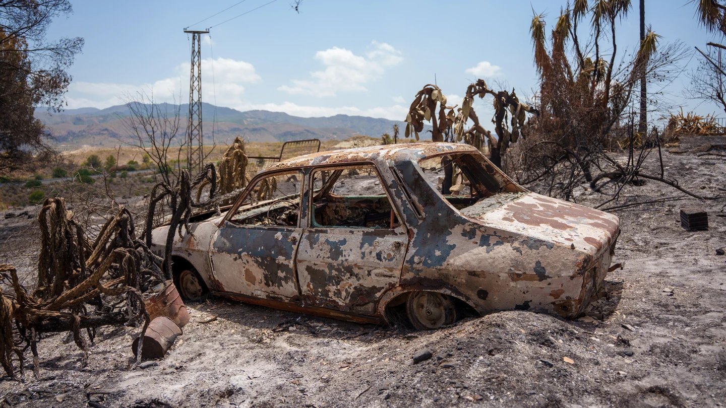 Imagen de la zona afectada por el incendio de Los Gallardos. Imagen de la zona afectada por el incendio de Los Gallardos.