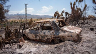 Imagen de la zona afectada por el incendio de Los Gallardos. 