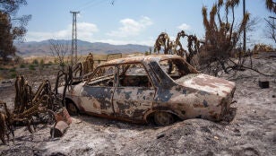 Imagen de la zona afectada por el incendio de Los Gallardos. 