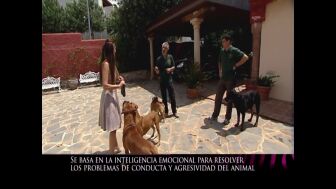 Mariana Nannis, al descubrir que sus perros son 'conflictivos': "Como yo, por eso los he cogido"