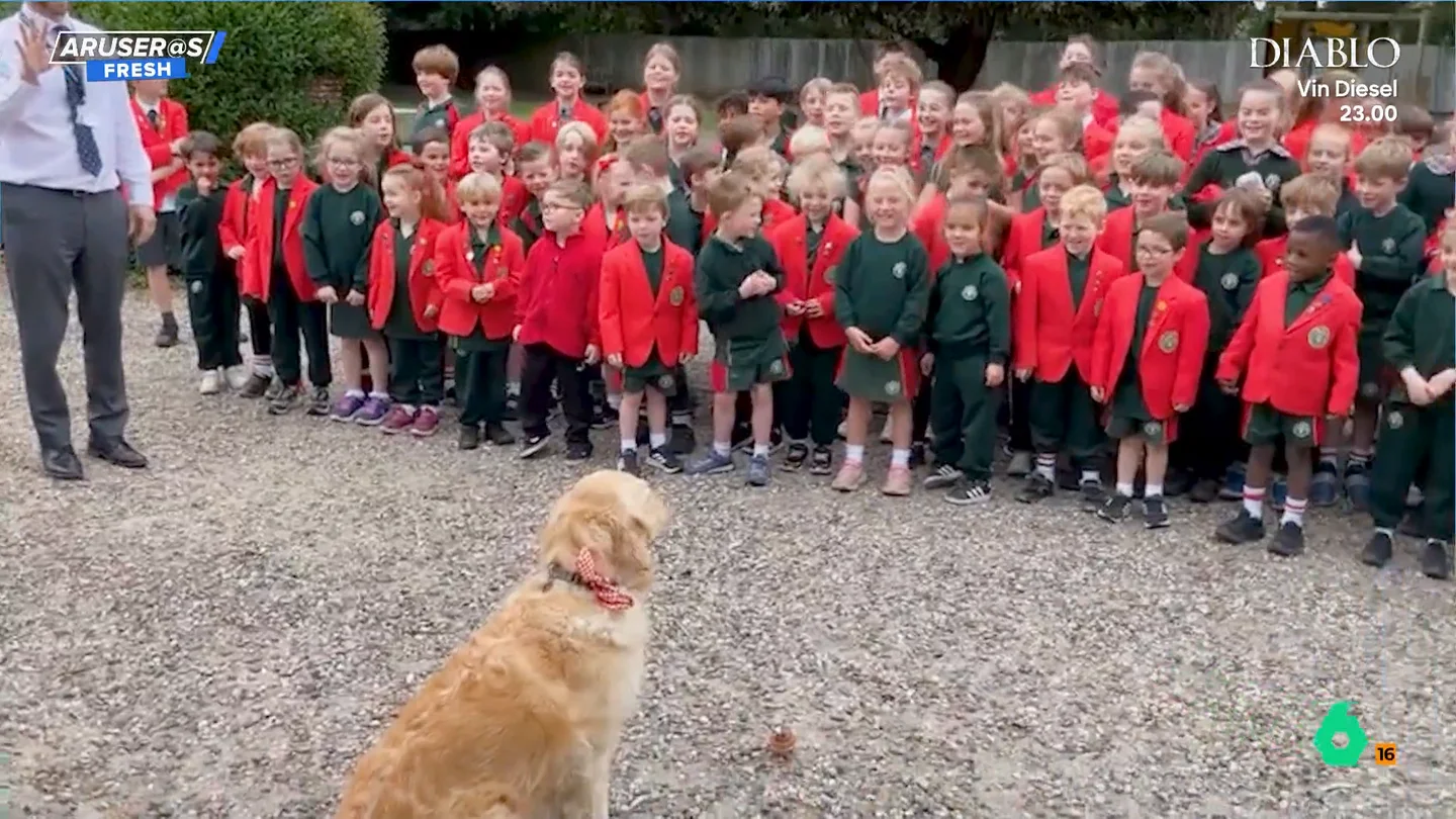 El entrañable homenaje de decenas de niños a Willow, la Golden Retriever que cumple cuatro años y es perro de terapia El entrañable homenaje de decenas de niños a Willow, la Golden Retriever que cumple cuatro años y es perro de terapia