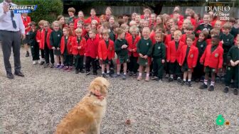 El entra&ntilde;able homenaje de decenas de ni&ntilde;os a Willow, la Golden Retriever que cumple cuatro a&ntilde;os y es perro de terapia