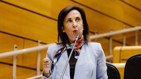 La ministra de Defensa, Margarita Robles, durante una sesi&oacute;n de control al Gobierno en el Senado