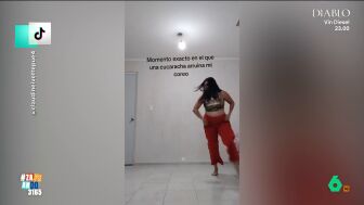 Una cucaracha destroza la coreograf&iacute;a de una joven al ritmo de Shakira: "Baila mejor que la chica" 