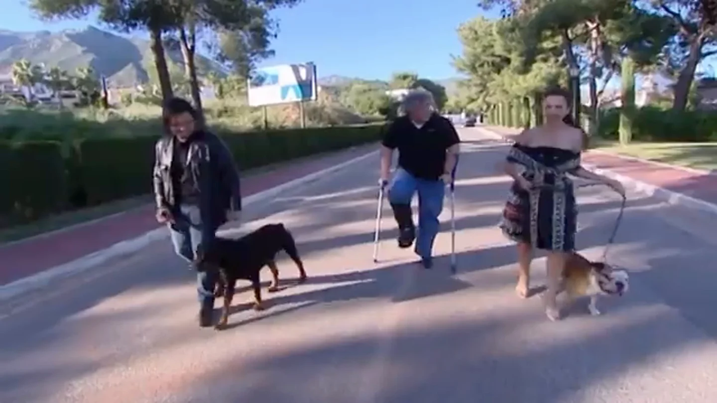 Mariana Nannis, de 'Mujeres Ricas', lleva a sus perros al "psicólogo" y confiesa: "Me gustan locos" Mariana Nannis, de 'Mujeres Ricas', lleva a sus perros al "psicólogo" y confiesa: "Me gustan locos"