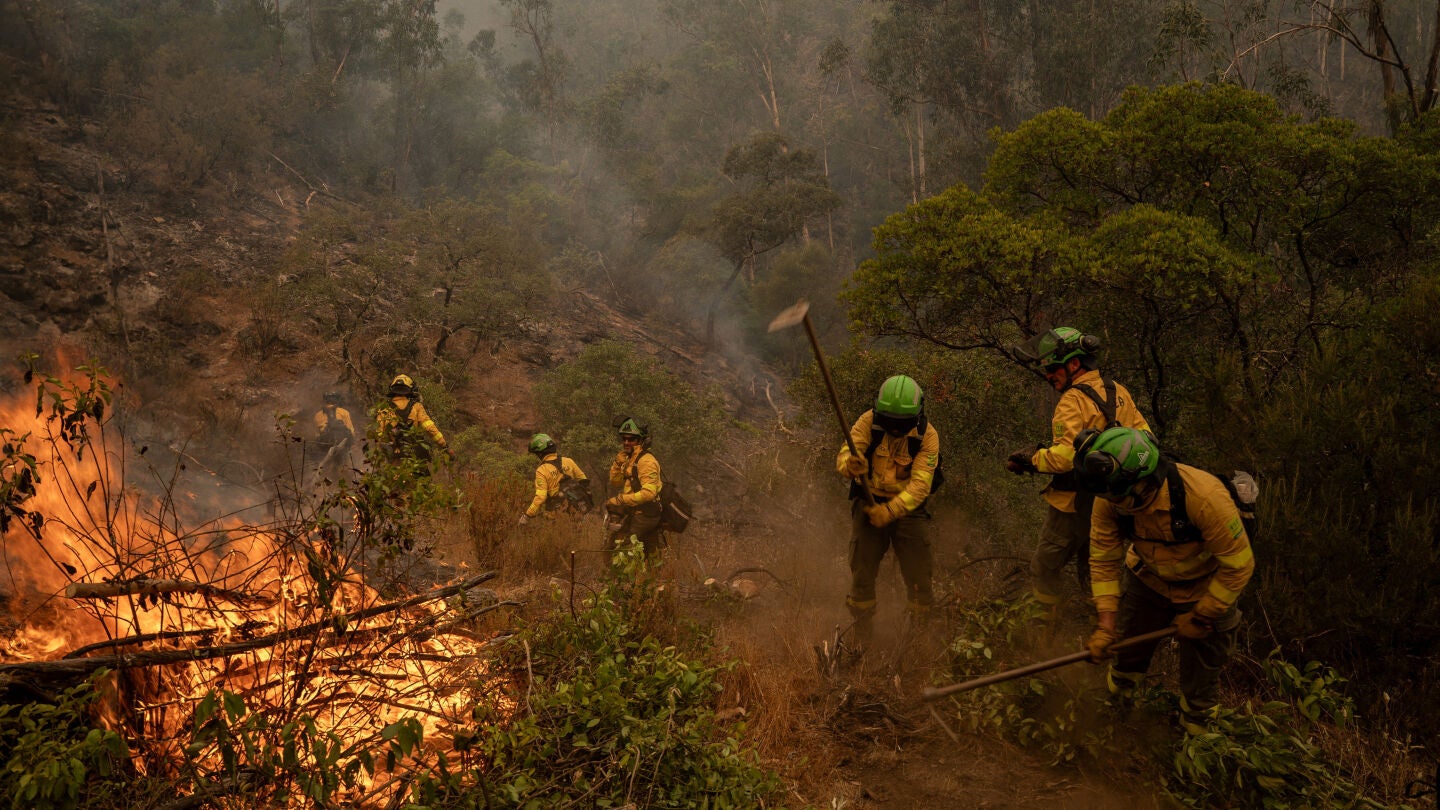 Efectivos trabajan en el incendio forestal en Niebla, en Huelva.