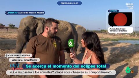 Veterinario del safari de Madrid