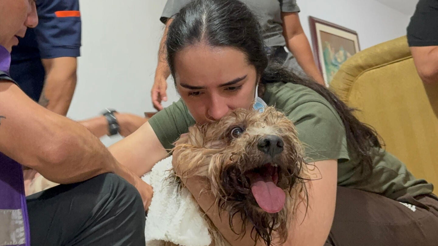 El perro Antonio se convierte en s&iacute;mbolo de esperanza en Colombia: sepultado a nueve metros y rescatado con vida en Cali