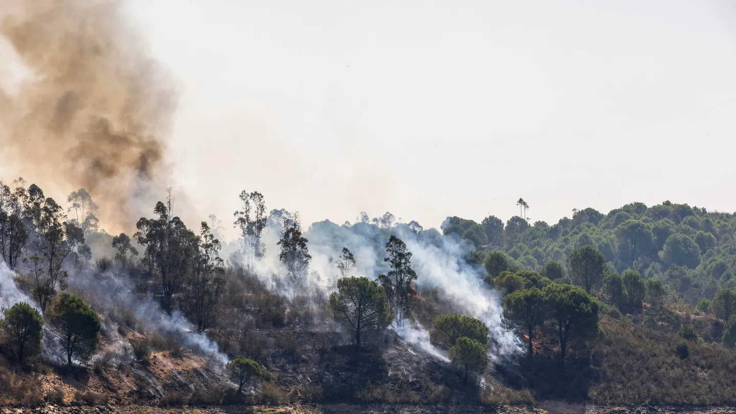 El incendio de Niebla cumple cinco días activo mientras son ya nueve los pueblos desalojados por el fuego en Huesca El incendio de Niebla cumple cinco días activo mientras son ya nueve los pueblos desalojados por el fuego en Huesca