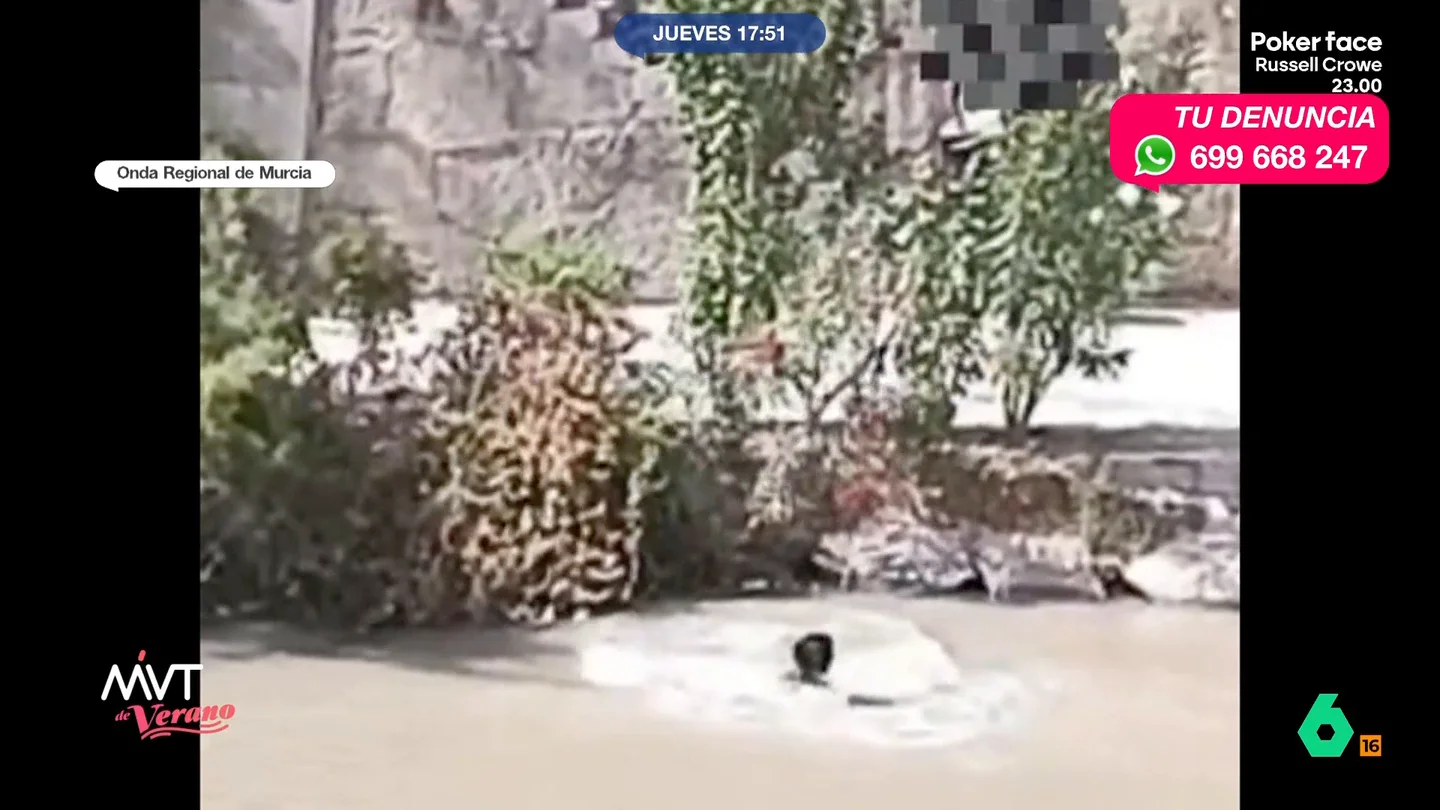 Se lanza al río para evitar ser identificado por la policía: finalmente, fue detenido por resistencia a la autoridad La Policía Nacional quiso identificar a dos usuarios. Al no contar con identificación, estos les acompañaron hasta la comisaría, pero, al llegar, este hombre decidió huir del vehículo y lanzarse al río Segura.