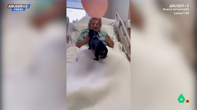 El emotivo momento viral de una abuela hospitalizada al recibir la inesperada visita de sus tres perros