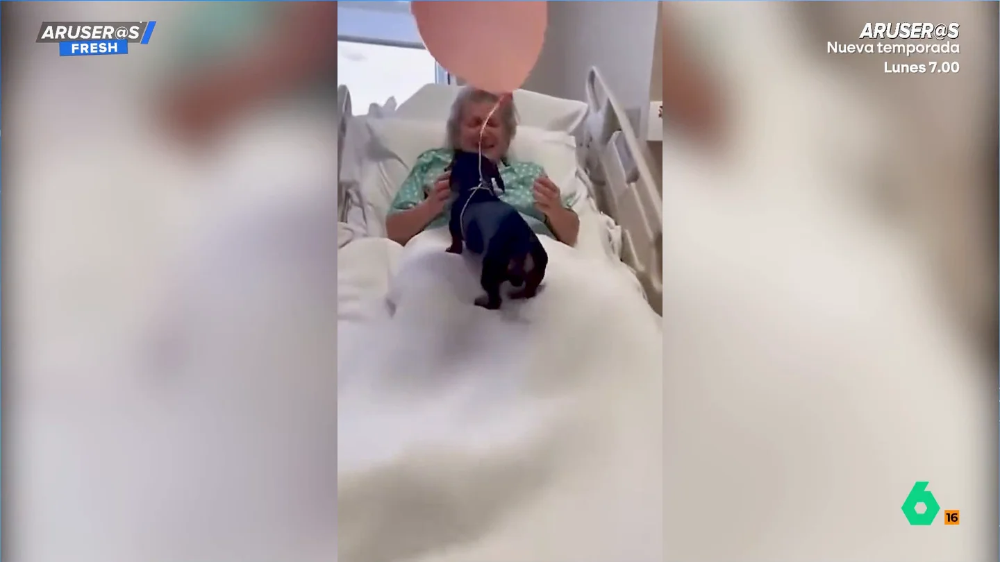 El emotivo momento viral de una abuela hospitalizada al recibir la inesperada visita de sus tres perros El emotivo momento viral de una abuela hospitalizada al recibir la inesperada visita de sus tres perros