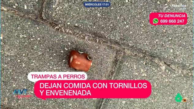 Tornillos comida perros