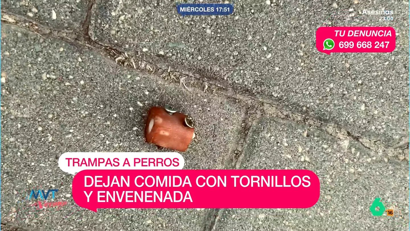 Tornillos comida perros Tornillos comida perros
