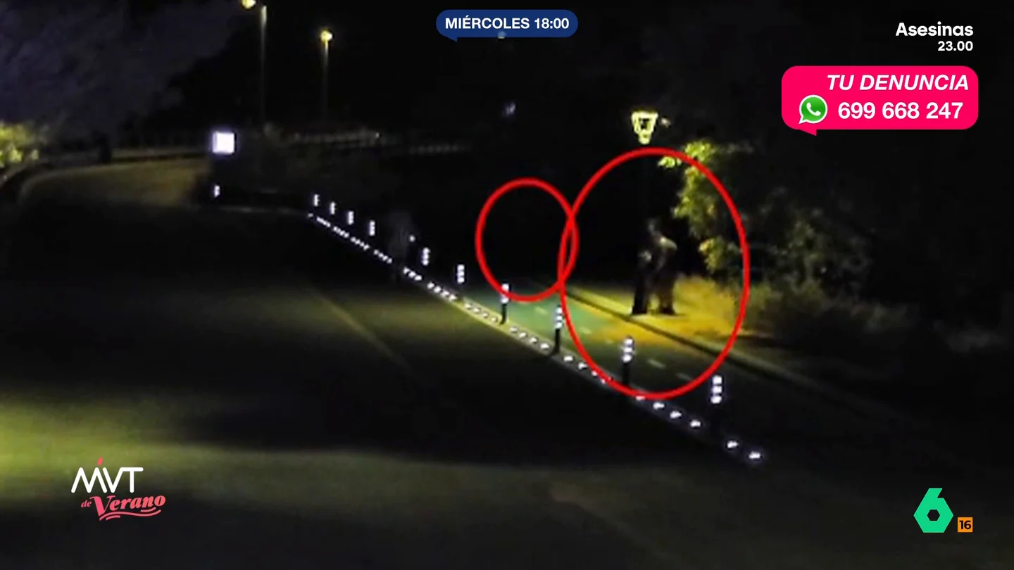Dejan un barrio a oscuras por robar cobre en Olula del Río (Almería): los daños están valorados en 13.000 euros Los ladrones fueron grabados mientras manipulaban una farola. Después, la calle quedaba a oscuras. La Guardia Civil ha detenido a tres personas relacionadas con el robo de cable de cobre.