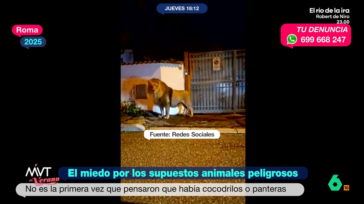 Del 'leon' en la sierra de San Vicente al 'cocodrilo' de Simancas: los otros animales salvajes que atemorizaron a España Mientras la Guardia Civil suspende parcialmente la búsqueda del presunto león de la sierra de San Vicente, Más Vale Tarde recuerda otros casos de animales salvajes que atemorizaron a pueblos y ciudades, muchas veces sin llegar a aparecer.