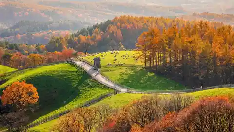 Corea del Sur en otoño: danpung. Corea del Sur en otoño: danpung.