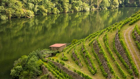Ribeira Sacra