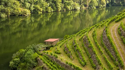 Ribeira Sacra Ribeira Sacra