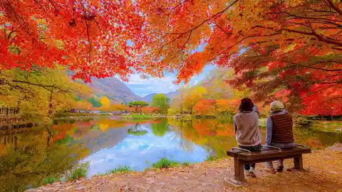 Corea del Sur en otoño Corea del Sur en otoño
