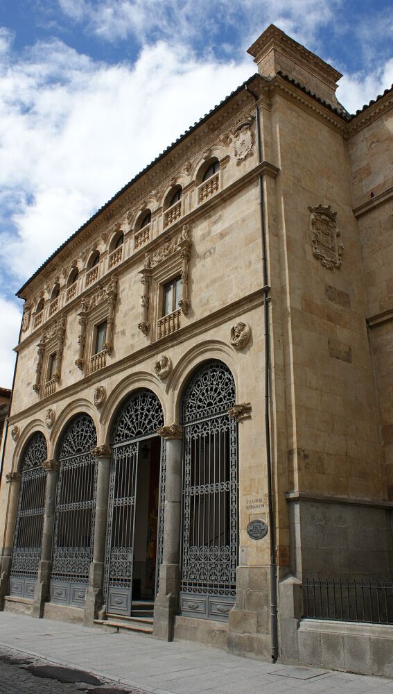 Palacio de la Salina, Salamanca