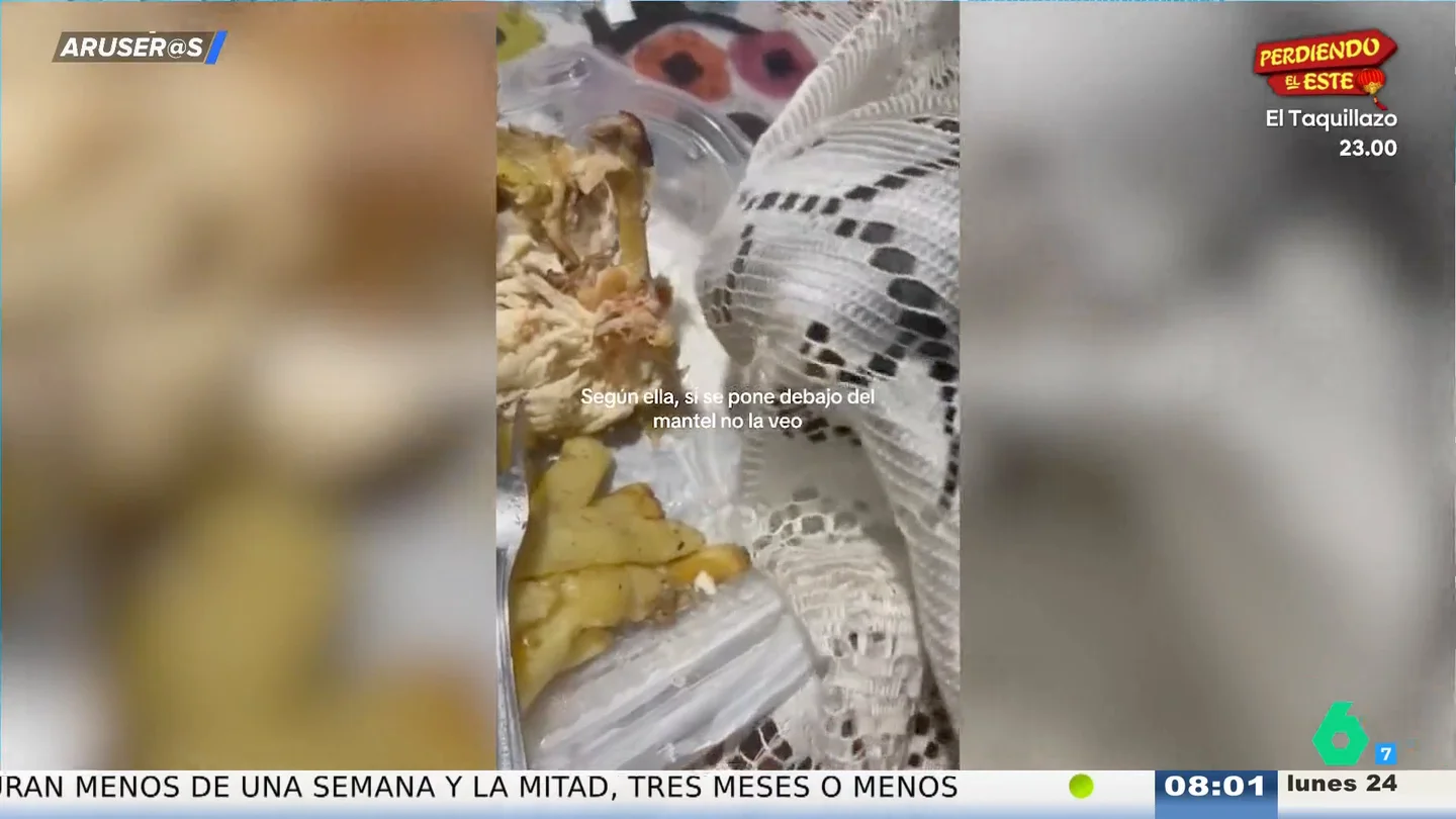 La divertida estrategia viral de una gata para robar comida "disimuladamente" a su dueña La divertida estrategia viral de una gata para robar comida "disimuladamente" a su dueña