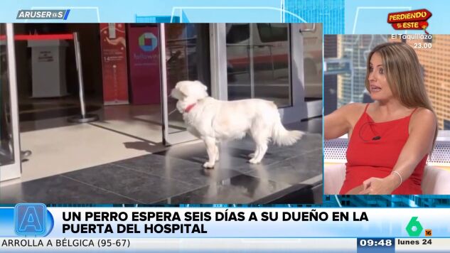 El entra&ntilde;able momento viral de un perro que espera durante seis d&iacute;as a su due&ntilde;o a la salida del hospital