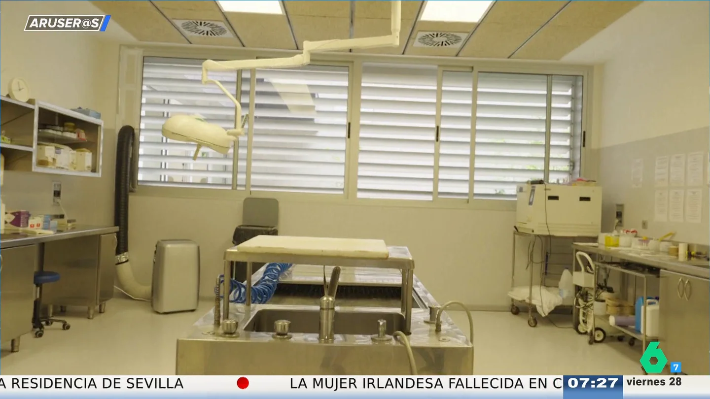 Una empleada de una funeraria pierde su trabajo tras llevar a su amiga y a su hermana a la morgue para ver preparar un cadáver Una empleada de una funeraria pierde su trabajo tras llevar a su amiga y a su hermana a la morgue para ver preparar un cadáver