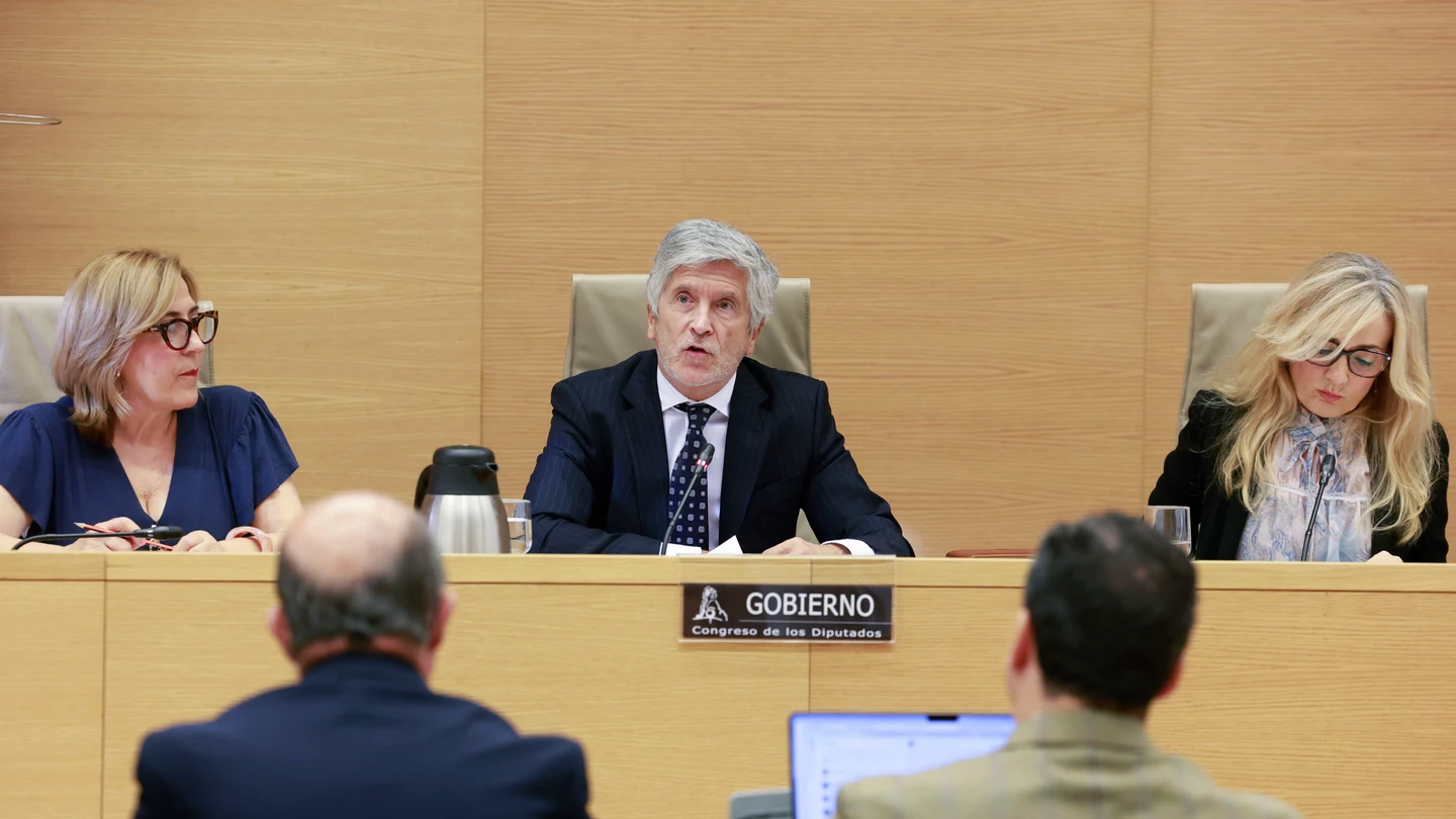 El ministro del Interior, Fernando Grande-Marlaska, comparece este viernes a petición propia en la comisión de Interior del Congreso El ministro del Interior, Fernando Grande-Marlaska, comparece este viernes a petición propia en la comisión de Interior del Congreso