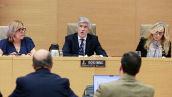 El ministro del Interior, Fernando Grande-Marlaska, comparece este viernes a petici&oacute;n propia en la comisi&oacute;n de Interior del Congreso