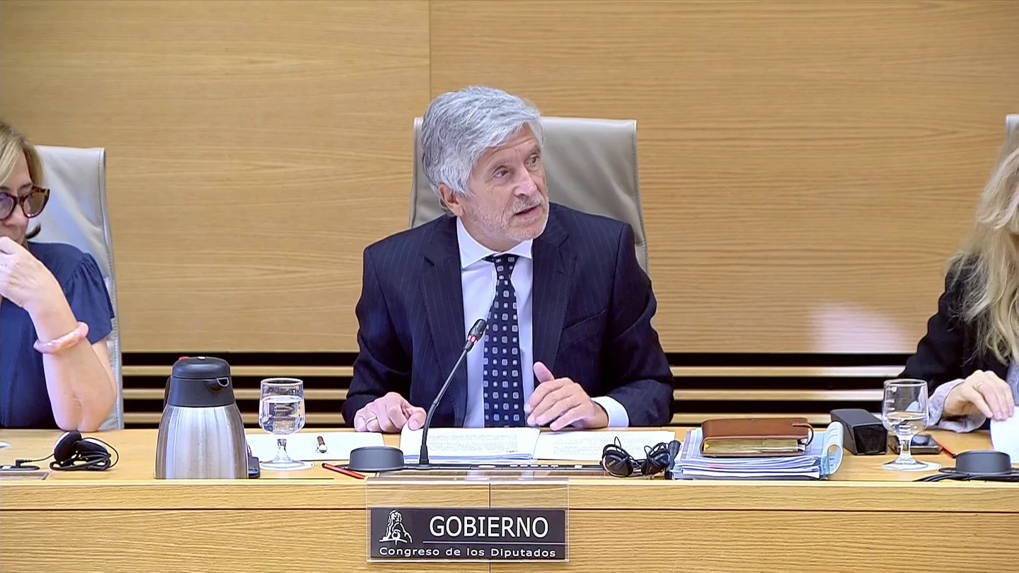 El ministro Marlaska comparece en el Congreso El ministro Marlaska comparece en el Congreso
