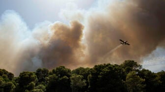 Incendio en El Saler