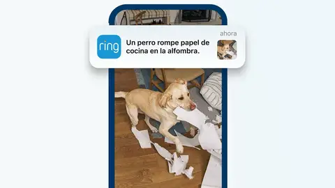 Así con las nuevas notificaciones de Ring Así con las nuevas notificaciones de Ring