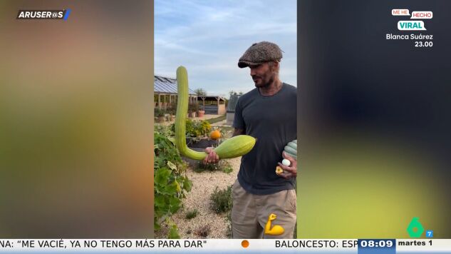Beckham regresa al huerto