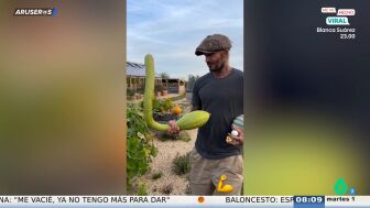 Beckham regresa al huerto