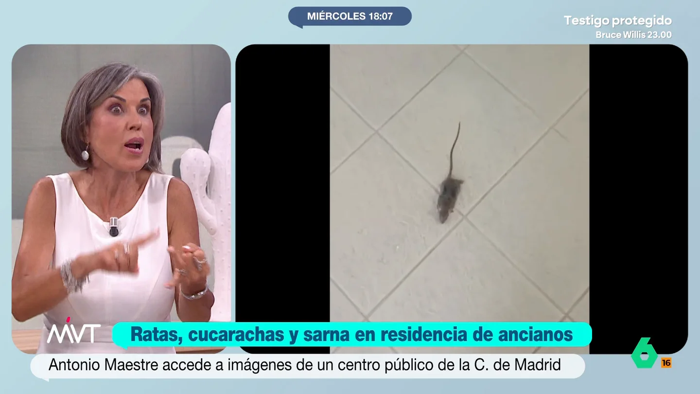 MVT BEA DE VICENTE RATAS MVT BEA DE VICENTE RATAS