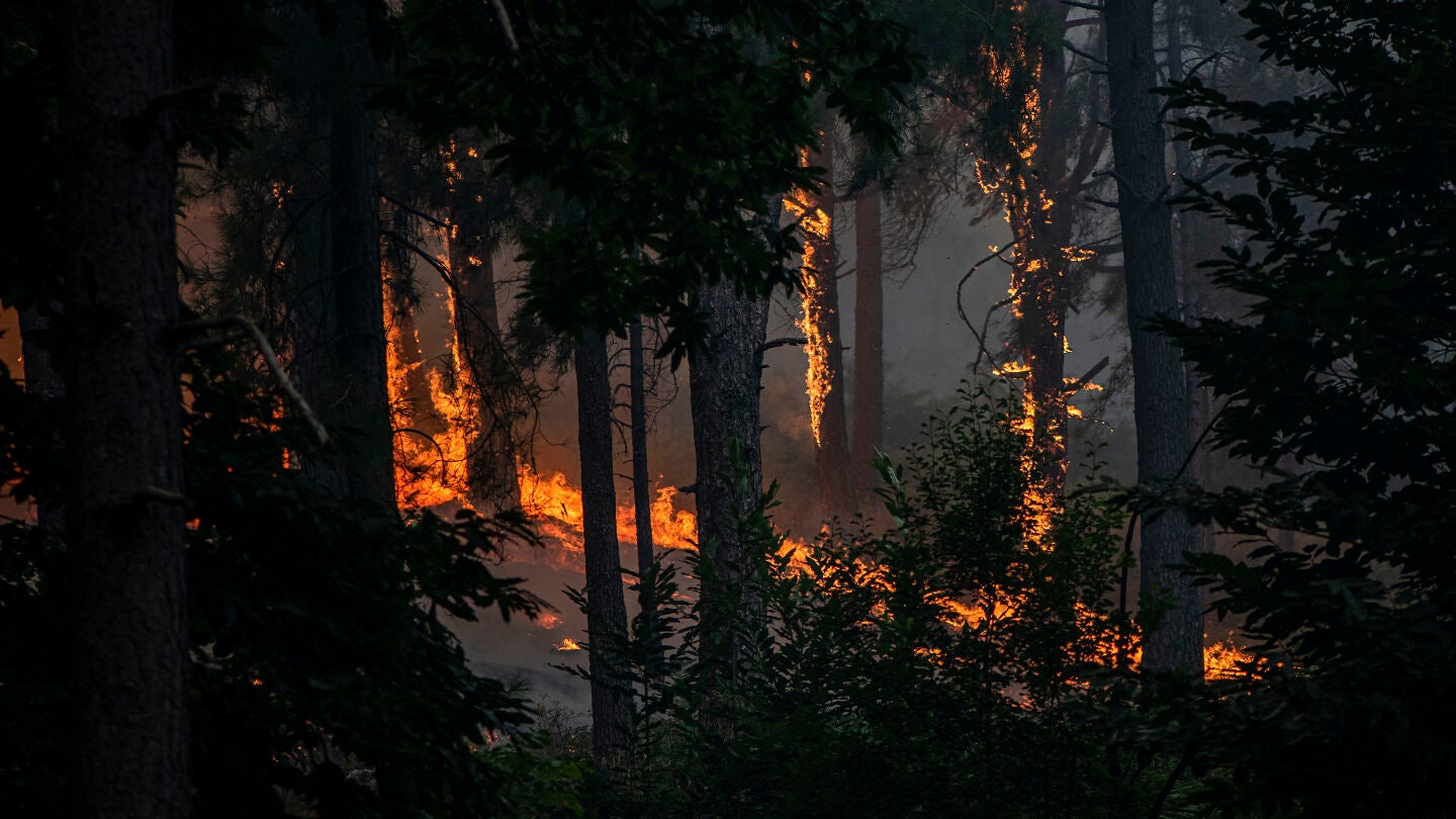 Vista del incendio cerca de la Charca de la Nieta, a 26 de julio de 2026, en Piedralaves, &Aacute;vila, Castilla y Le&oacute;n (Espa&ntilde;a).