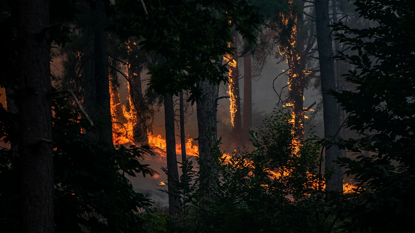 Vista del incendio cerca de la Charca de la Nieta, a 26 de julio de 2026, en Piedralaves, Ávila, Castilla y León (España). Vista del incendio cerca de la Charca de la Nieta, a 26 de julio de 2026, en Piedralaves, Ávila, Castilla y León (España).
