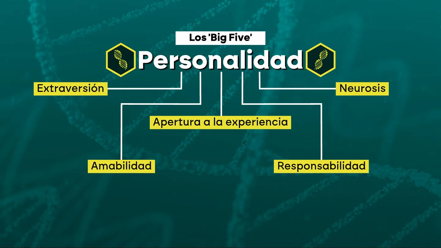 Los 'big five' de la personalidad. Los 'big five' de la personalidad.