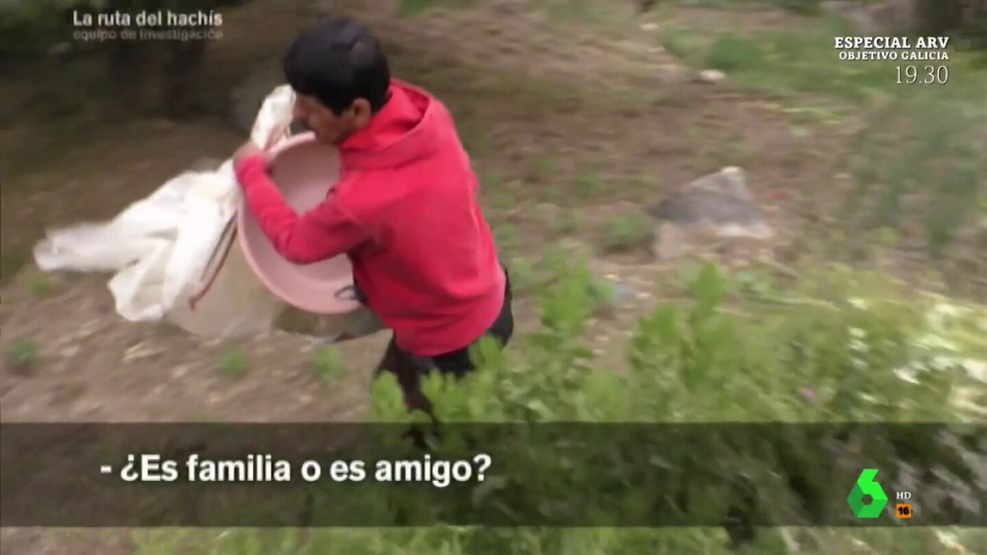 Un narco marroqu&iacute; ense&ntilde;a su plantaci&oacute;n: "Lo que fuman en Espa&ntilde;a se lo dar&iacute;amos a las cabras"