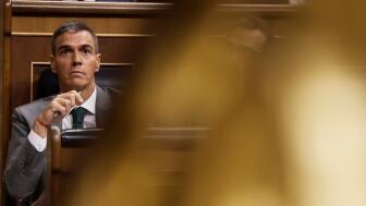 El presidente del Gobierno, Pedro S&aacute;nchez, en el Congreso