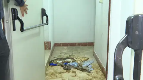 Un hombre de 77 años permanece encerrado cuatro días en un baño del garaje de su edificio de Barakaldo Un hombre de 77 años permanece encerrado cuatro días en un baño del garaje de su edificio de Barakaldo