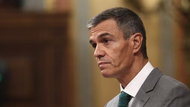 Imagen de Pedro S&aacute;nchez.