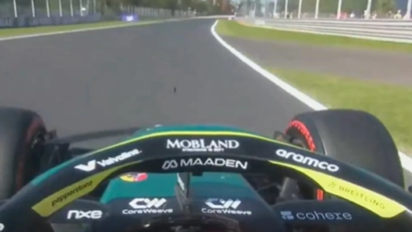 Fernando Alonso Fernando Alonso