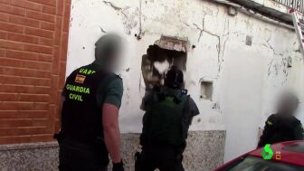 Mil macetas de marihuana, joyas, 40 pares de zapatos de lujo... los tesoros del clan de 'Los Pi&ntilde;os'