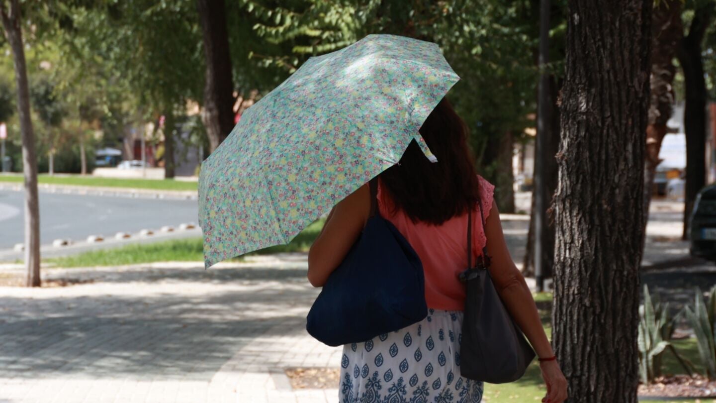 Jornada de intenso calor en Sevilla. 
