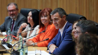 El presidente del Gobierno y l&iacute;der del PSOE, Pedro S&aacute;nchez