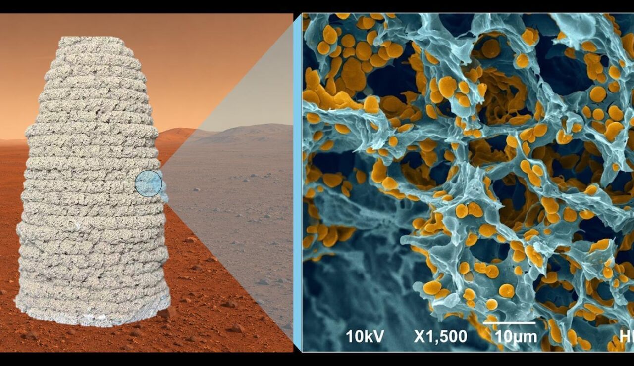 Imagen microsc&oacute;pica del material
